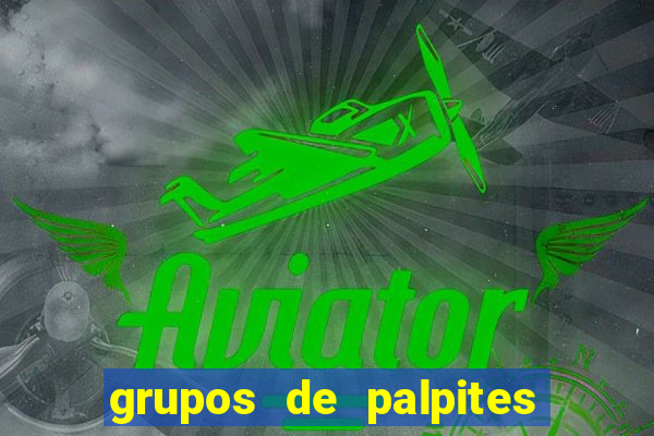 grupos de palpites de futebol whatsapp